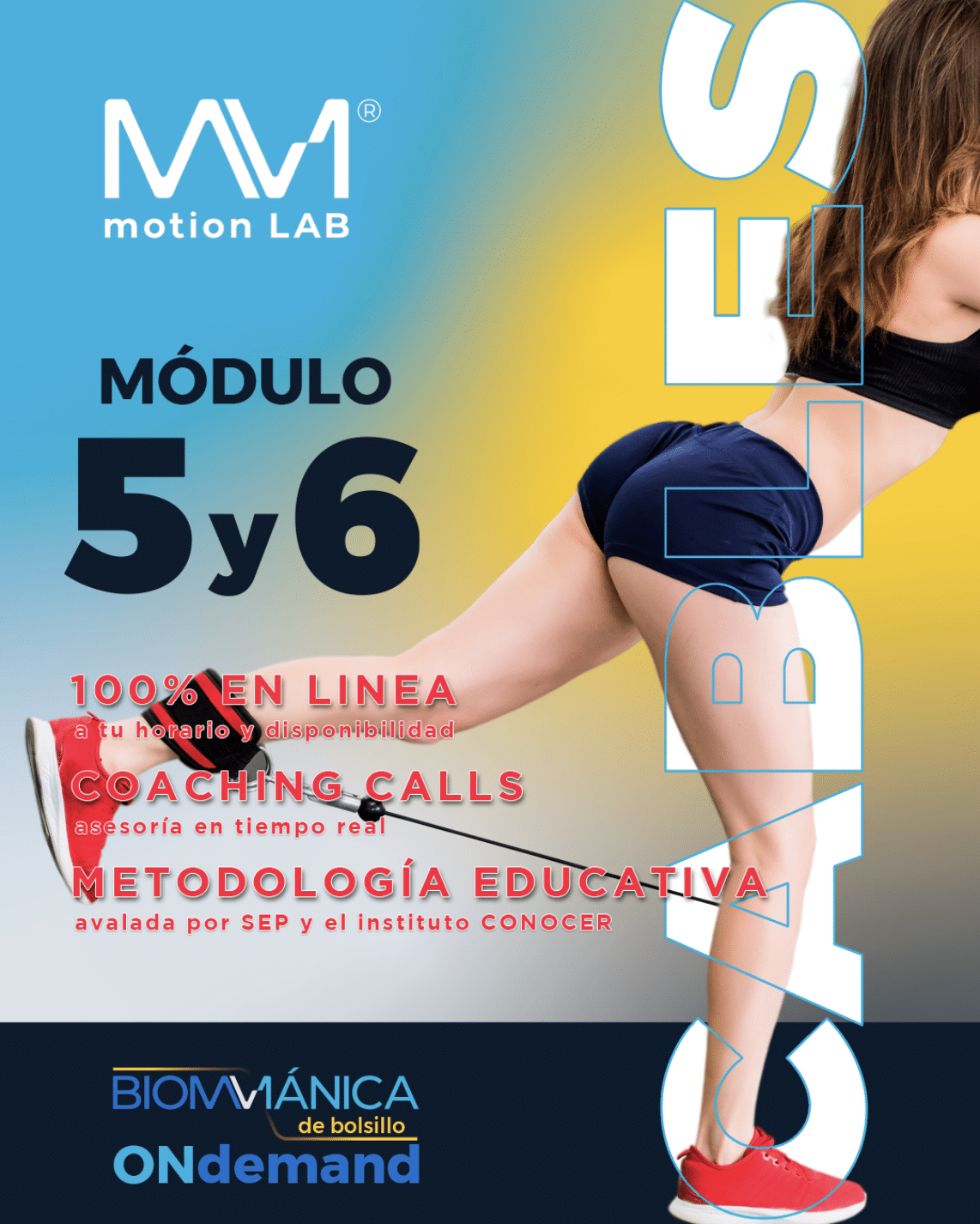 “Biomecánica de cables y poleas” Módulo 5 y 6